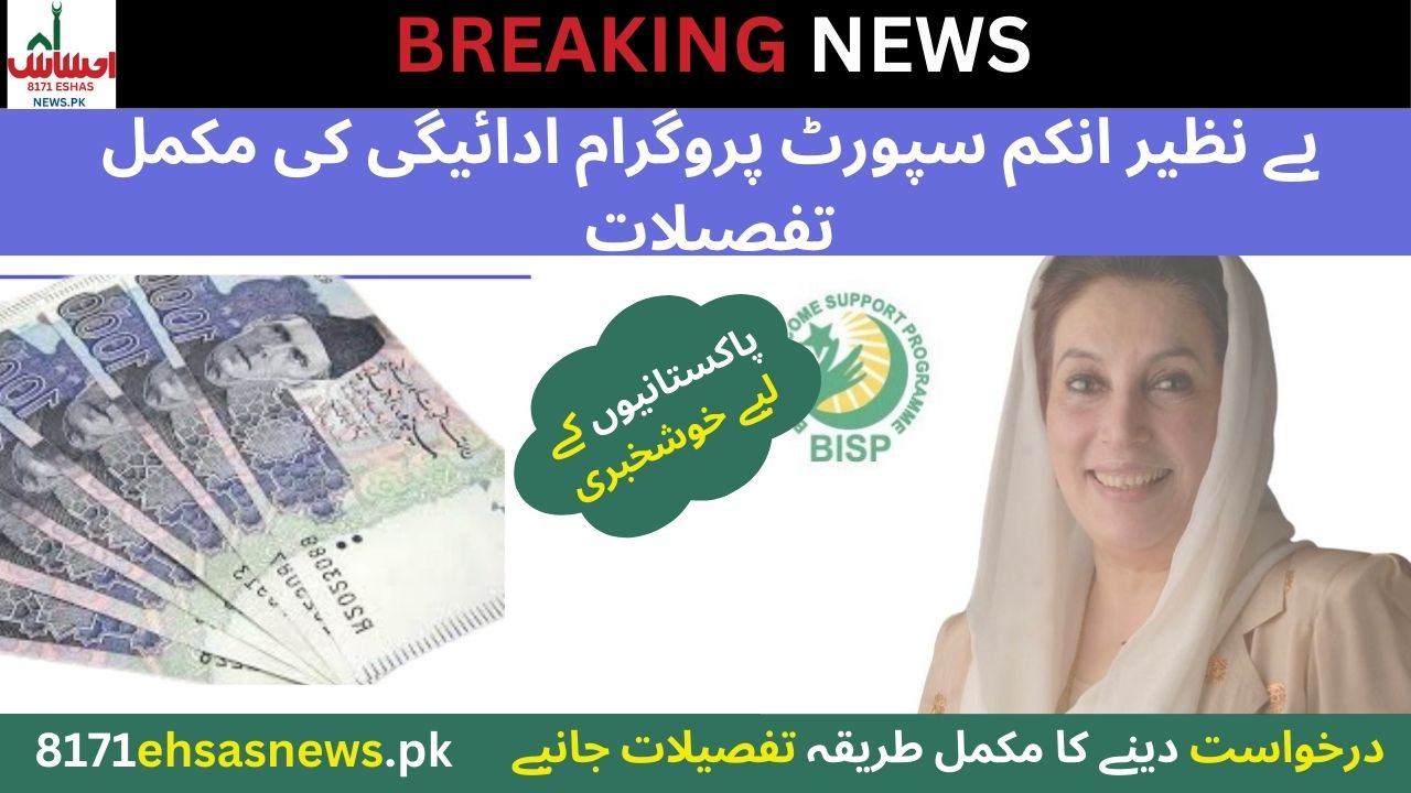 Benazir Income Support Program Complete Detail of Payment