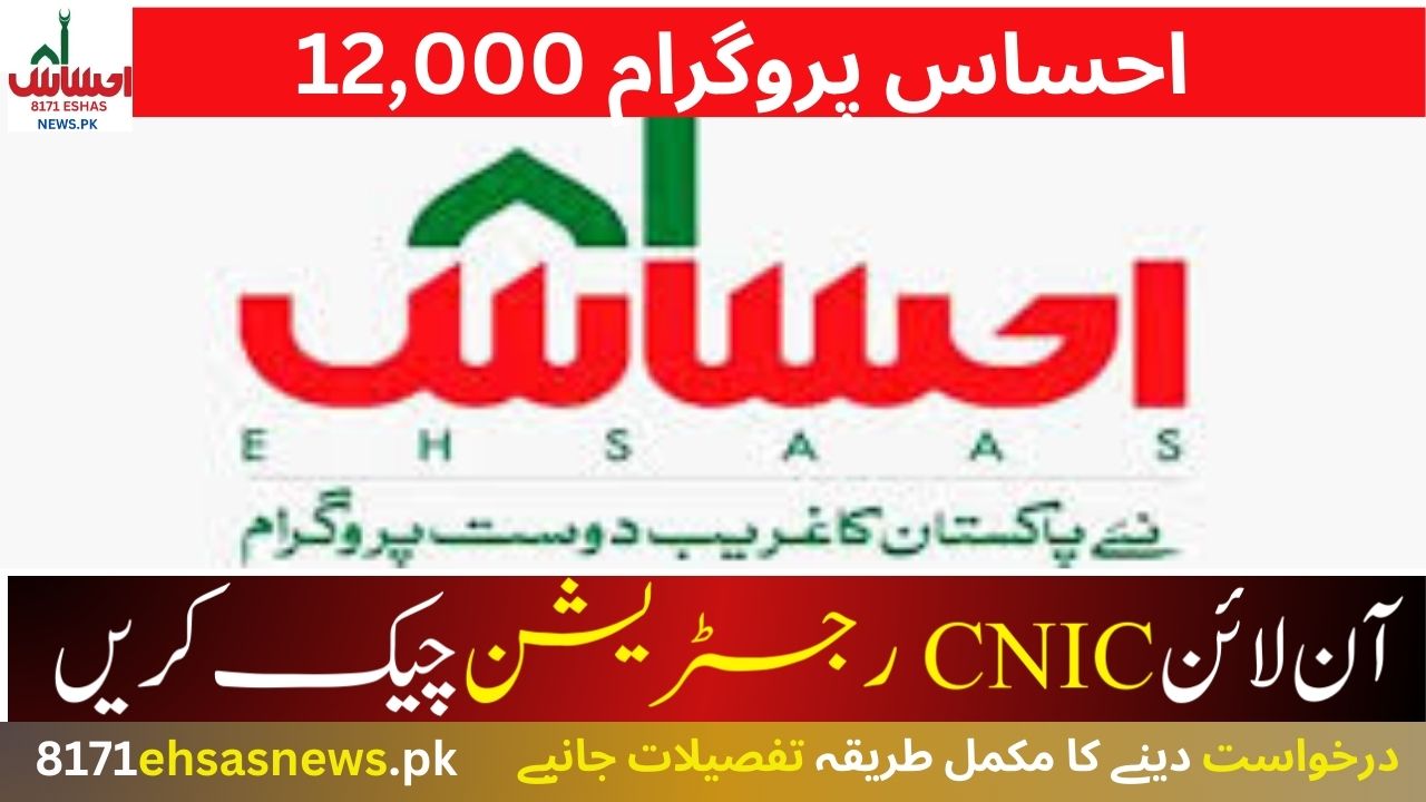 Ehsaas Program 12000 Check Online